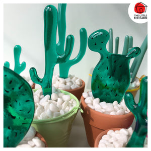 Picture shows other glass cacti from the same range