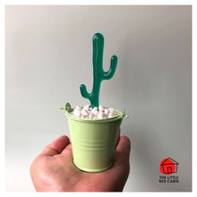 Load image into Gallery viewer, Picture shows hand holding small green tin bucket, containing a Cowboy cactus emerging from the little white stones 
