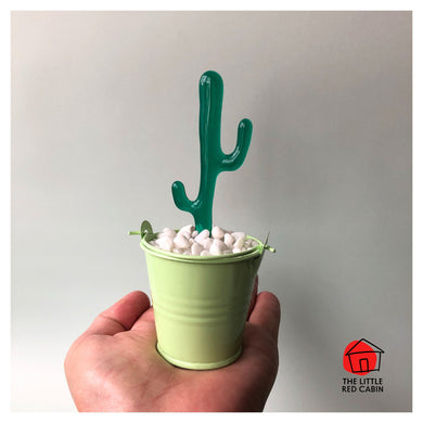 Picture shows hand holding small green tin bucket, containing a Cowboy cactus emerging from the little white stones 